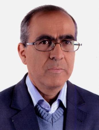 محمد حسین احمدزاده